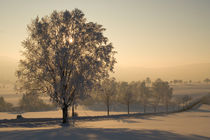 Winterabend von Jürgen Mayer