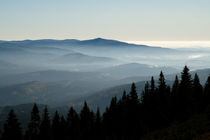 Bayerischer Wald von Jürgen Mayer