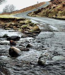 Dalby Forest Ford von Sarah Couzens