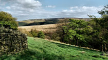 Holmfirth by Sarah Couzens