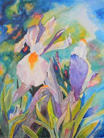 Silver Beauty Iris  von Warren Thompson