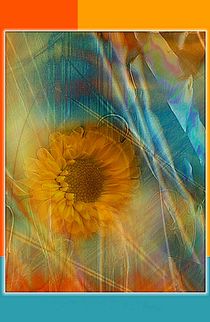 Sommerblume von claudiag