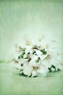 mint green by Priska  Wettstein