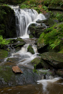 Muglbach Wasserfall von Jürgen Mayer