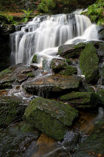 Muglbach Wasserfall von Jürgen Mayer