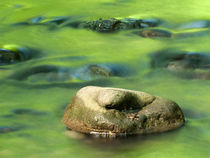 Stons in green river by Odon Czintos