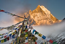 Prayer flags at sacred Fish Tail Mountain, Nepal by Tom Dempsey