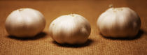 knoblauch von Falko Follert