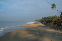 Palm Tree over Black Beach Varkala von serenityphotography