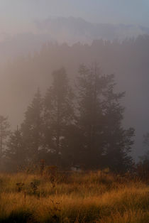 Morning Mist Poon Hill by serenityphotography