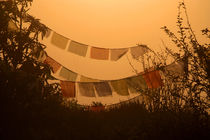 Prayer Flags and Mist Poon Hill by serenityphotography