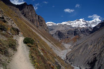 The Path to Thorung Phedi von serenityphotography