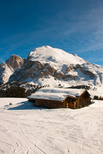 Dolomiti - Sasso Piatto e Sasso Lungo by Pier Giorgio  Mariani