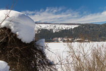 Abant Lake von Evren Kalinbacak