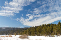 Abant Lake von Evren Kalinbacak