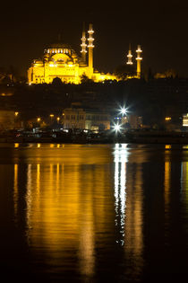 Suleymaniye Mosque von Evren Kalinbacak