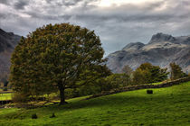 Langdale Pikes von Derek Beattie