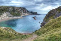 Man O War Bay by Alice Gosling