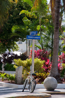 Miami Beach (Florida) von Pier Giorgio  Mariani