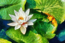 Water Lily, Monet Style von Graham Prentice