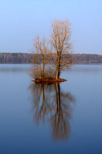 Kleine Insel von Wolfgang Dufner