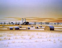 Ontario Farm Country von Conrad Mieschke