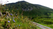 Annascaul Lake by Barbara Walsh