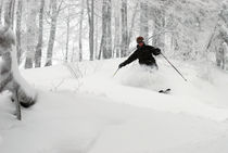 powder days by tabson