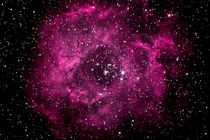 Rosettennebel - Rosette Nebula -  by monarch