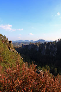 Saxon Switzerland by Wolfgang Dufner