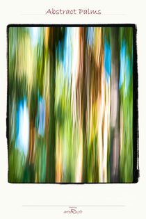 Abstract Palms von arteralfo