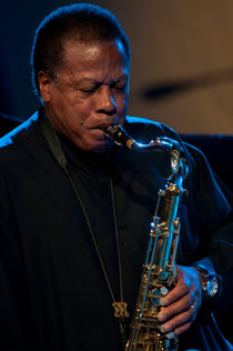 Wayne Shorter by Mite Kuzevski