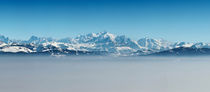 Mont Blanc Panorama