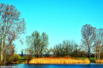 Frühling am See by Ridzard  König