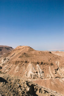 hot desert Negev, Israel von yulia-dubovikova