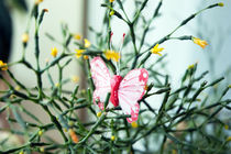 butterfly in a flower von yulia-dubovikova