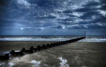 Storm In Brid von James Biggadike