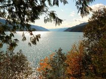 Herbststimmung am See von Jutta Ploessner