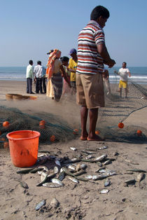 Fishermen Sorting the Catch Arambol von serenityphotography