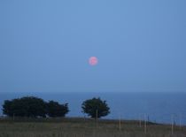 Moon Rise over Ales Stenar  von Sarah Osterman