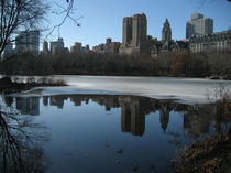 Central Park, New York von Azzurra Di Pietro