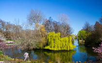 St James Park London von David J French