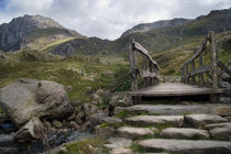 Pathway to Tryfan von Wayne Molyneux