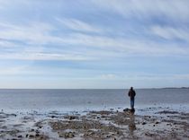 Looking out at low tide  by Sarah Osterman