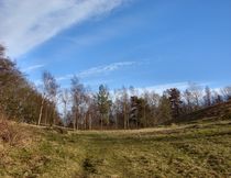 View up the hill  by Sarah Osterman