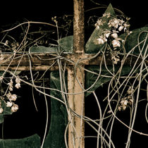 Wilting flowers and broken window by Lars Hallstrom