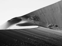 Namibia: Dune by Nina Papiorek