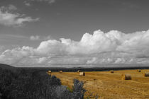 Rundballen - round bales by ropo13