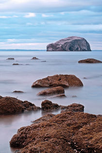 The Bass Rock von Amanda Finan