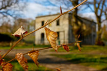 Brown Leaf Plean House by Buster Brown Photography